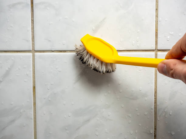 Best Mold Testing  in Clarksburg, WV