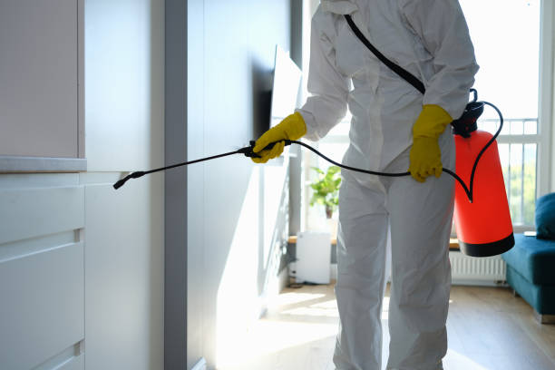 Professional Mold Removal in Clarksburg, WV