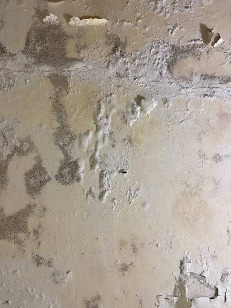 Water Damage Restoration in Clarksburg, WV
