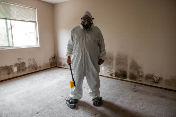 Best Mold Removal Specialists  in Clarksburg, WV